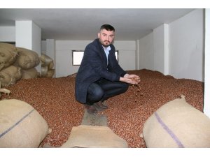 Fındık fiyatı 20 liraya koşuyor