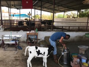 İŞKUR hibesiyle zor günleri geride bıraktı