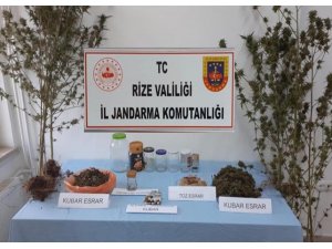Rize’de jandarma suça geçit vermiyor