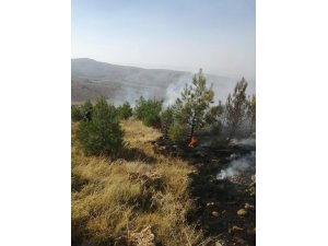 Anız yangınından alevler ormanlık alana sıçradı