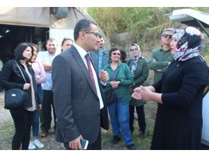 Alaşehirli kursiyerlerden mantar seralarında inceleme