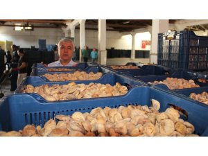 TMO ilk 15 günde 1000 tonunu üzerinde incir alımı yaptı