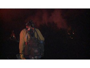 Kaliforniya yanıyor