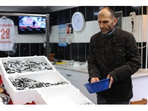 Balıkta işler tersine döndü: Palamut üzdü, hamsi güldürdü