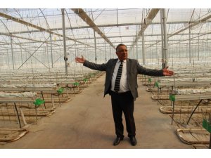 Sıcak su verilmeyince 38 milyonluk yatırım çürümeye terk edildi