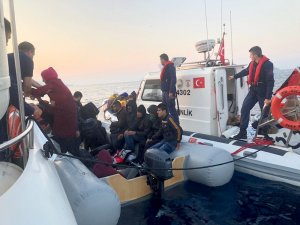 Bodrum’da 140 kaçak göçmen yakalandı