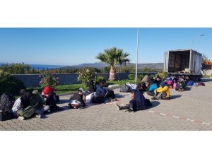 Çanakkale’de kamyonetin kasasından 43 mülteci çıktı