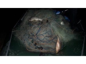 Altınapa Baraj Gölünde kaçak avcılığa karşı denetimler