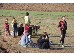 Bolu’da, aynı aileye ait 3 ev alev alev yandı