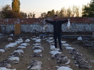 Konya’da 150 kaz telef oldu