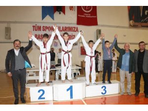 Bayramiç’te taekwondo şampiyonasına büyük ilgi