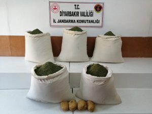 Diyarbakır’da 220 kilogram esrar ele geçirildi