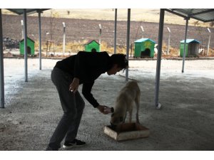 Harçlıklarıyla aldıkları mamalarla sokak hayvanlarını besliyorlar