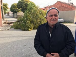 Ağacın altında kalmaktan saniyelerle kurtuldu