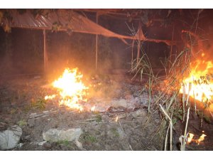 Anız yangını seraya sıçradı