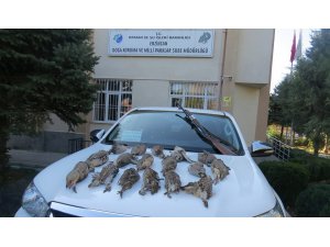 Usulsüz keklik avcılarına para cezası