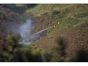 Sinop’ta orman yangını