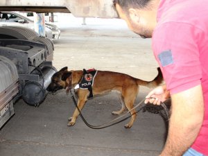 Osmaniye'de uyuşturucu operasyonu