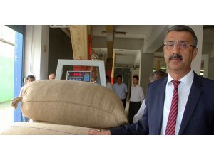 FİSKOBİRLİK  serbest piyasanın üzerinde fındık alımlarını sürdürüyor