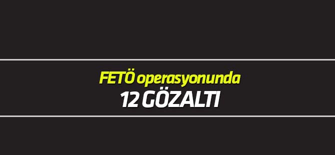 FETÖ/PDY operasyonunda 12 gözaltı