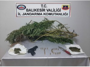 Jandarmadan uyuşturucuya geçit yok