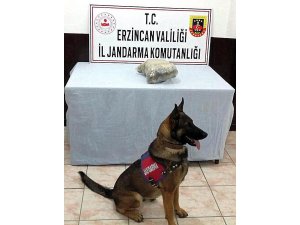 Erzincan’da 875 gram kubar esrar ele geçirildi