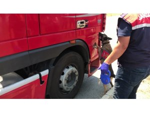 Avrupa’ya giden tıra operasyon: 102 kilo eroin ele geçirildi