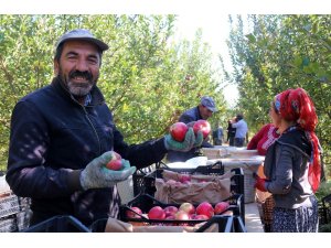 Van’ın lezzetli elmaları Kuzey Irak’a ihraç ediliyor
