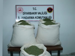 Öğrenci servisinde 176 kilogram esrar ele geçirildi