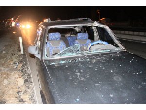 Suşehri'nde büyükbaşa çarpan araçtaki 4 kişi yaralandı