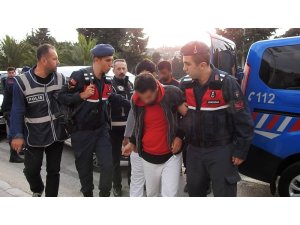 Göçmen olarak geldiler, organizatör oldular