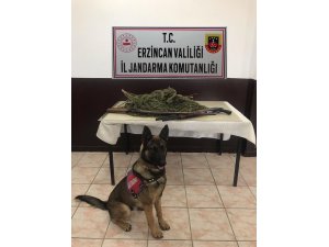 Erzincan’da 2 kilo 400 gram kubar esrar ile 2 adet av tüfeği ele geçirildi