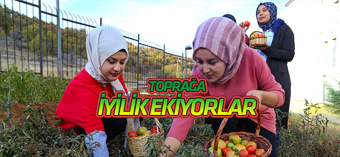 Üniversiteliler ihtiyaç sahipleri için de sebze yetiştiriyor