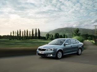 Yeni Octavia, Skoda showroomlarında