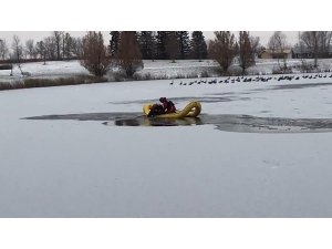Gölde mahsur kalan köpek donmak üzereyken bulundu