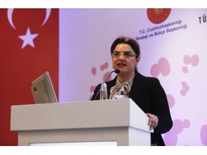 2018 Türkiye Nüfus ve Sağlık Araştırması sonuçları açıklandı