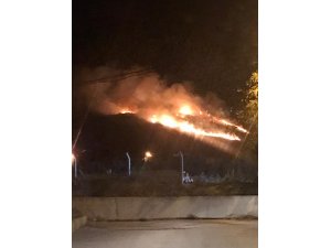 Erdek’te arazi yangını