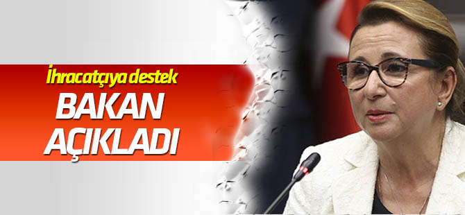 Pekcan: İhracatçılarımıza 3 milyar 754 milyon lira destek vermeyi öngörüyoruz