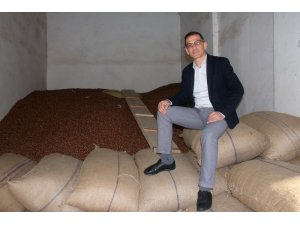 Fındık fiyatı haftayı 18,50 liradan kapatıyor