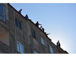 TBMM Araştırma Komisyonu üyeleri Rabia Naz Vatan’ın şüpheli ölümünü araştırmak için Giresun’a geldi