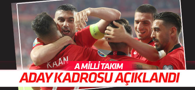 İzlanda ve  Andorra maçlarının kadrosu belli oldu