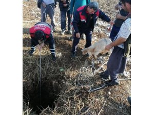 Kuyuya düşen oğlak kurtarıldı