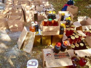 Sahte balcılar yakalandı