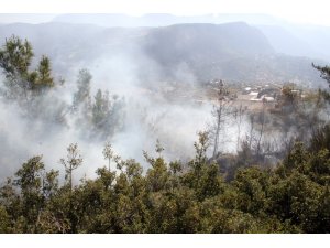 Seydikemer’de anız yangını ormana sıçradı