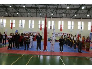 Gençler tekvando şampiyonası başladı