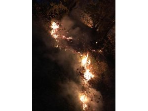 Kocaeli’de ormanlık alanda yangın