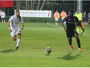 Altay bir siyah bir beyaz