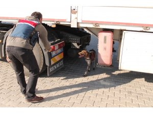 Tosya D-100 Karayolunda Huzur Operasyonu