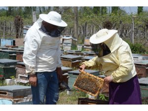 Sahte bal, arıcıların emeğini çalıyor, gerçek balın pazarlanmasını etkiliyor