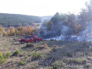 Ormanlık alanda yangın